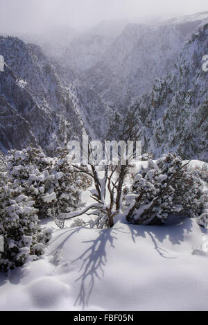 Vues d'hiver dans la région de Black Canyon of the Gunnison Banque D'Images