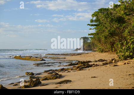 Surfer dans une distance de Maria's Beach. Rincon, Puerto Rico. USA territoire. L'île des Caraïbes. Banque D'Images