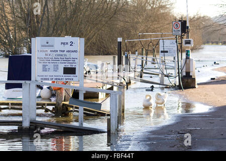 Les eaux de crue qui augmente sur les rives de la Tamise Henley Banque D'Images