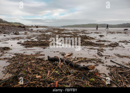 Les détritus rejetés sur Llansteffan plage après la marée haute après un hiver humide. Carmarthenshire. Le sud du Pays de Galles. UK. Banque D'Images