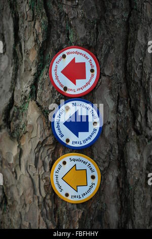 Pays coloré à pied les panneaux cloués au tronc de l'arbre Banque D'Images