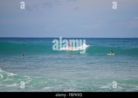 La capture d'un surfeur vague à Dome's Beach. Rincon, Puerto Rico. USA territoire. L'île des Caraïbes. Banque D'Images
