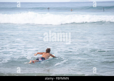 Surf surfeur mâle vers des vagues à la plage du dôme. Rincon Centre Rico. USA territoire. L'île des Caraïbes. Banque D'Images