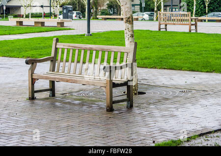 Des bancs de parc avec pelouse verte dans la région de Beaverton, Oregon Banque D'Images