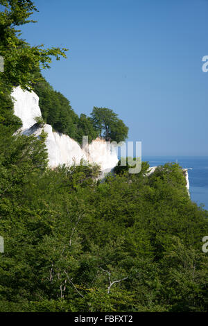 Mons Klint sont de 6 km des falaises de craie le long de la côte orientale de l'île danoise de mon dans la mer Baltique. Banque D'Images