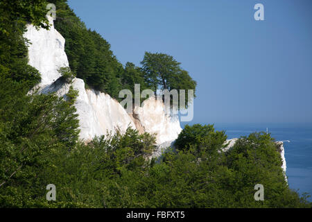 Mons Klint sont de 6 km des falaises de craie le long de la côte orientale de l'île danoise de mon dans la mer Baltique. Banque D'Images