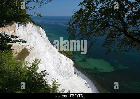 Mons Klint sont de 6 km des falaises de craie le long de la côte orientale de l'île danoise de mon dans la mer Baltique. Banque D'Images