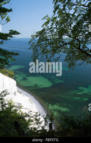 Mons Klint sont de 6 km des falaises de craie le long de la côte orientale de l'île danoise de mon dans la mer Baltique. Banque D'Images