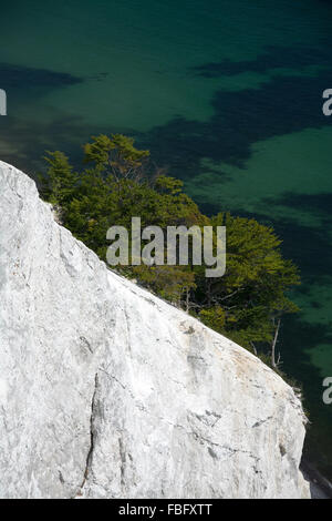 Mons Klint sont de 6 km des falaises de craie le long de la côte orientale de l'île danoise de mon dans la mer Baltique. Banque D'Images