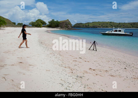 Une femme visiteur marchant sur les sables roses de Pinkish Beach dans le parc national de Komodo, West Manggarai, East Nusa Tenggara, Indonésie. Banque D'Images