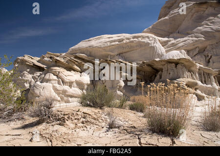 L'éluder Canyon est situé dans la région de White Sands du Grand escalier - Escalante National Monuments dans l'Utah, USA. Banque D'Images