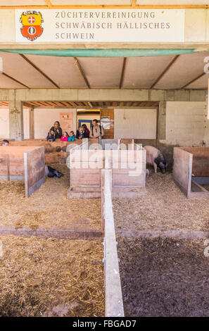 Souabe stable-hall breeders association musée en plein air, wackershofen, Schwäbisch Hall, Bade-Wurtemberg, Allemagne Banque D'Images