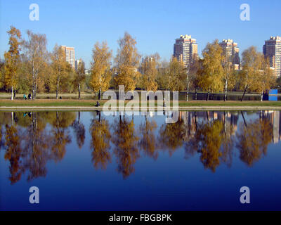 Parc en automne d'or Banque D'Images