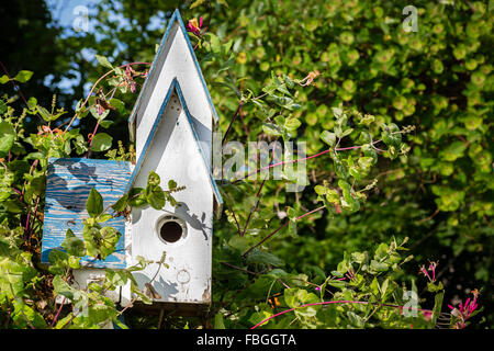 Maison rustique cabane dans un jardin sauvage. Banque D'Images