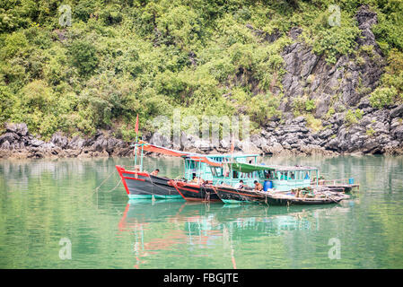 Bateaux de pêche de radeaux, Halong Bay, Vietnam Banque D'Images