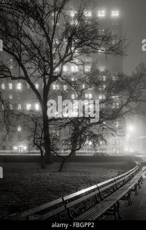 Brouillard dans Central Park la nuit. Arbres deviennent silhouettes éclairées par l'Upper West Side, immeubles de grande hauteur. Manhattan, New York City Banque D'Images