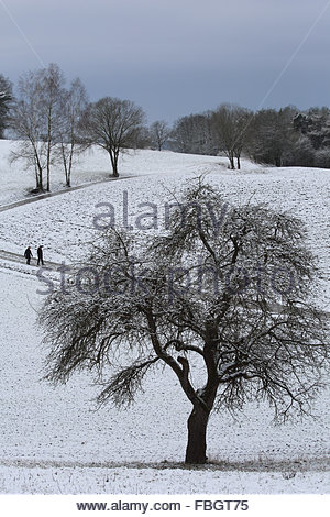 Coburg, Allemagne. 16 janvier 2016. La neige est répandue en Bavière aujourd'hui alors que l'hiver arrive à travers l'état.deux marcheurs sur les collines autour de Coburg, en Allemagne, descendent comme on prévoit de nouvelles chutes de neige avec des températures inférieures à moins de 15 demain. Crédit : ClearPix/Alay Live News Banque D'Images