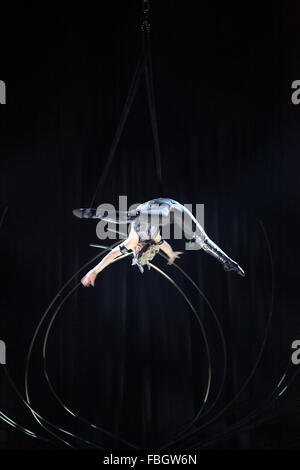 Londres, Royaume-Uni. 15 Jan, 2016. 15 janvier 2016 - spectacle du Cirque du Soleil Amaluna au Royal Albert Hall, Londres, Royaume-Uni. Crédit : Stephen/Berkeley-White Alamy Live News Banque D'Images