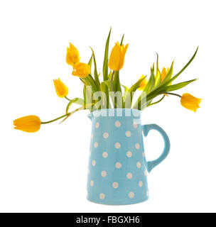 Tulipes jaunes dans un pot bleu repéré sur fond blanc Banque D'Images