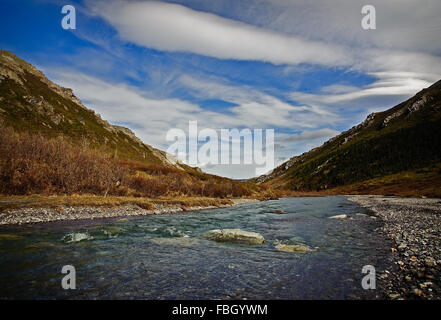 Lit de rivière dans le parc national Denali Alaska, eau de la fonte des neiges et fusion et ruissellement glaciaires. Banque D'Images