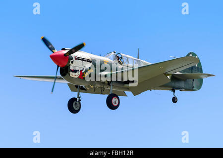 Curtiss P-40 Warhawk en vol avec le train roulant vers le bas (sale). Banque D'Images