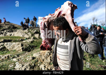 Algérie - Tizi Ouzou ,Janvier 8,2016 La célébration de Yennayer 2966 le Nouvel an berbère dans le village MEZEGUENE des tops montagne de la Kabylie va voir l'abattage et la découpe des carcasses de veaux 10 puis la distribution de la viande Banque D'Images