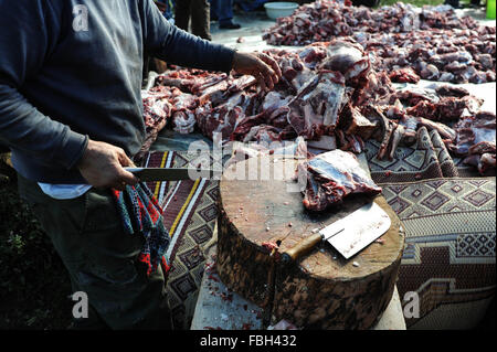 Algérie - Tizi Ouzou ,Janvier 8,2016 La célébration de Yennayer 2966 le Nouvel an berbère dans le village MEZEGUENE des tops montagne de la Kabylie va voir l'abattage et la découpe des carcasses de veaux 10 puis la distribution de la viande Banque D'Images