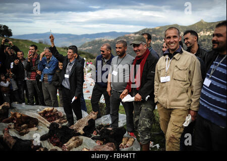 Algérie - Tizi Ouzou ,Janvier 8,2016 La célébration de Yennayer 2966 le Nouvel an berbère dans le village MEZEGUENE des tops montagne de la Kabylie va voir l'abattage et la découpe des carcasses de veaux 10 puis la distribution de la viande Banque D'Images