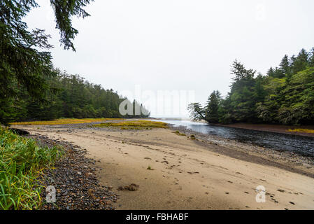 Vue sur l'océan côtier Haida Gwaii Colombie-Britannique Canada Banque D'Images