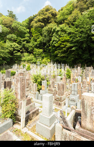 Pierres tombales gravées anciennes du défunt à un cimetière bouddhiste à l'étage et derrière le temple Chion-In dans la ville historique de Kyoto, Japon Banque D'Images