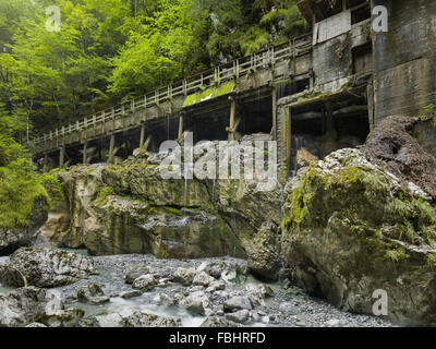 Seisenbergklamm, Weißbach près de Lofer, Salzbourg, Autriche Banque D'Images