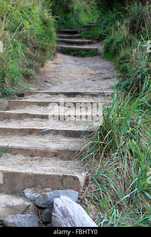 Belle et longue escalier en pierre de roche et de sable coupées en herbe de dunes allant jusqu'montagne Banque D'Images