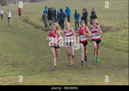 L'Assemblée Knole Run Sevenoaks School cross country mile run jeunes équipes en course d'endurance difficiles Banque D'Images