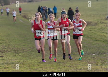 L'Assemblée Knole Run Sevenoaks School cross country mile run jeunes équipes en course d'endurance difficiles Banque D'Images