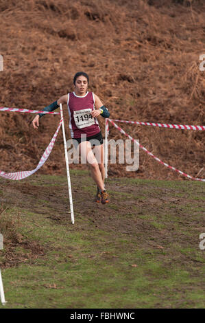 L'Assemblée Knole Run Sevenoaks School cross country mile run jeunes équipes en course d'endurance difficiles Banque D'Images