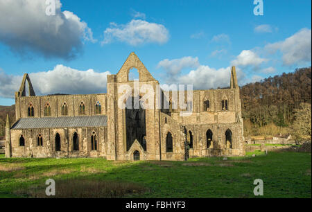 Abbaye de Tintern dans la vallée de la Wye, Monmouthshire, Nouvelle-Galles du Sud, fondée par Walter de Clare, dans le 12e siècle Banque D'Images