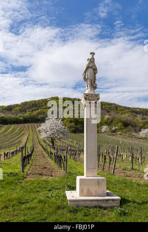 Fleur de cerisier au pied de la Leitha Montagnes entre Derenbach et Purbach, à la fleur de cerisier, piste cyclable dans l'avant-plan un calvaire corss avec Madonna et le Christ, Burgenland, Autriche, Europe, Banque D'Images