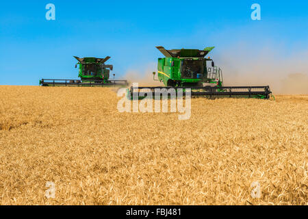 Plusieurs moissonneuses-batteuses John Deere la récolte dans la région de Washington Palouse Banque D'Images