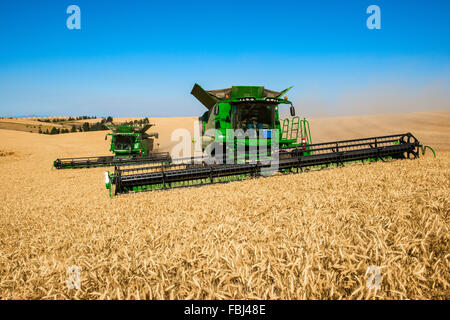 Plusieurs moissonneuses-batteuses John Deere la récolte dans la région de Washington Palouse Banque D'Images