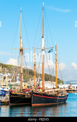 Deux belles 1895 Brixham, construit en bois traditionnels, la voile le chalutiers de pêche Patrimoine Brixham Banque D'Images