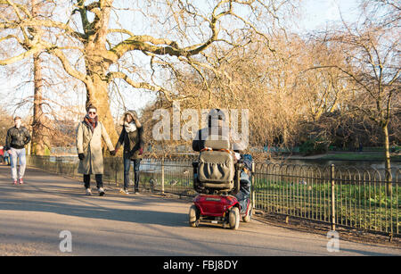 Une femme dans un fauteuil roulant nourrit les oiseaux à St James' Park, Londres, UK Banque D'Images