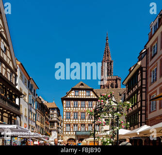 La place du Marché (place de la Grande Boucherie) et la cathédrale de Strasbourg, France Banque D'Images