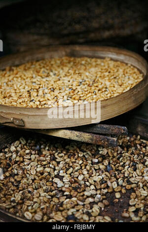 Les grains de café,, Kopi Luwak, torréfié et dans des paniers en bambou, Bali, Indonésie, Asie Banque D'Images