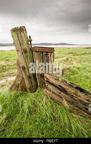 Le gouvernail d'une barge en bois en décomposition aux navires Purton Hulks tombe à Purton, Gloucestershire, Angleterre Banque D'Images