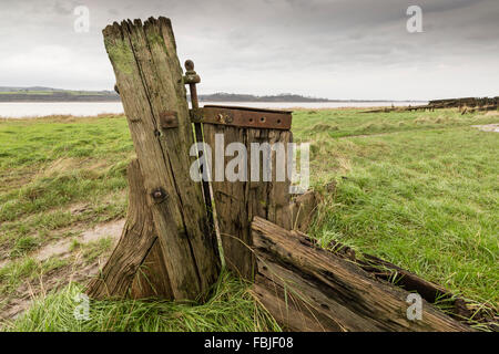 Le gouvernail d'une barge en bois en décomposition aux navires Purton Hulks tombe à Purton, Gloucestershire, Angleterre Banque D'Images