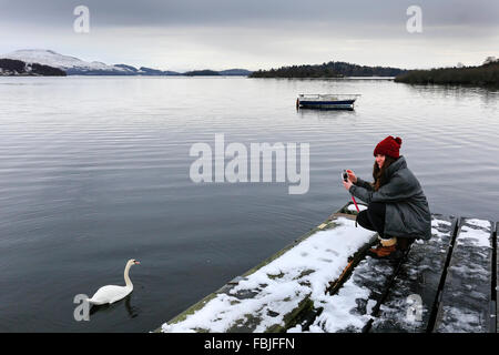 Une touriste profite d'une brève période de temps doux pour photographier d'une seule piscine swan dans les eaux calmes du Loch Lomond après plusieurs pouces de neige sont tombés pendant la nuit et les températures ont chuté jusqu'à la congélation. Banque D'Images