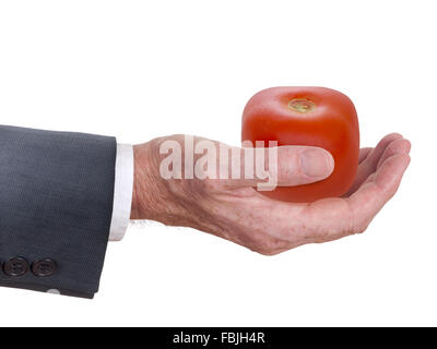 Geneticically mise à la tomate dans la main de l'homme, la grande entreprise concept alimentaire. Banque D'Images