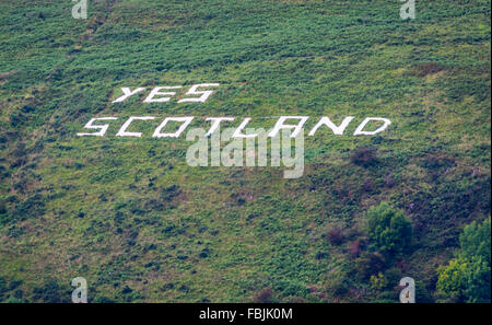 Grand Oui Écosse lettres épinglé à Belfast's Black Mountain lors du vote de l'Ecosse sur l'indépendance de la Grande-Bretagne. Banque D'Images