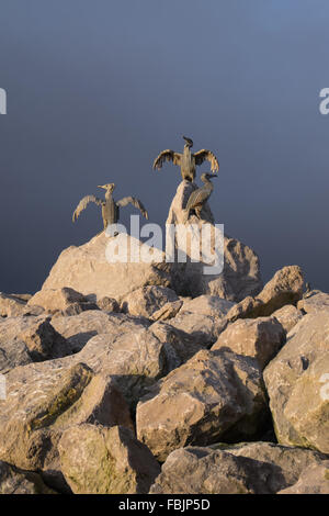 Statues d'oiseaux en pierre à la pierre jetée. La baie de Morecambe, Lancashire, Angleterre Banque D'Images