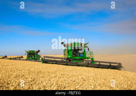 Plusieurs moissonneuses-batteuses John Deere la récolte dans la région de Washington Palouse Banque D'Images